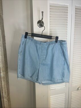 GAP Women’s Light Blue and White Pinstripe Casual Shorts